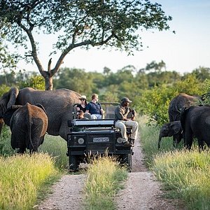 Nakuru National Park
